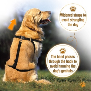 6PC Mùa Xuân Hỗ Trợ Rách Acl CCL Đầu Gối Cap Trật Khớp Chân Vết Thương Chăm Sóc Ngăn Chặn Liếm Hip Hỗ Trợ Có Thể Điều Chỉnh Dog Đầu Gối <span class=keywords><strong>Brace</strong></span> - Product Image 6