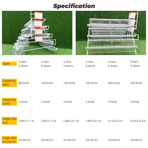 Jaulas de batería para gallinas ponedoras, 96-160 aves, para granjas avícolas, diseño galvanizado en caliente, para la producción de <span class=keywords><strong>huevos</strong></span> - Product Image 4