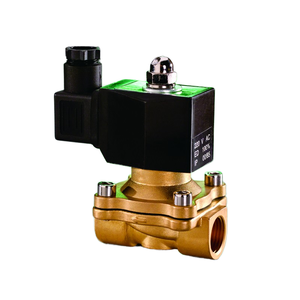 Mini-vanne solénoïde à action directe en laiton 2 voies 12V 110V 24V 220V normalement fermée, micro-contrôle, personnalisable OEM - Product Image 1