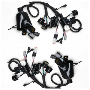 Ban đầu xe đạp điện Sur ron phụ tùng ánh sáng ong Phụ kiện chuyên ngành lắp ráp Cáp chính - Product Image 4