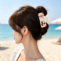 Pinces à cheveux en acrylique imprimées pour les vacances à la plage, thème vacances, pinces requin, design caméra Plumeria, accessoires décoratifs pour cheveux femme