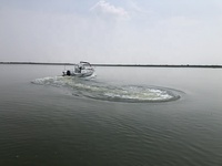 Bateau de pêche à console centrale en fibre de verre Grandsea de 30 pieds à moteur hors-bord à vendre