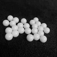 Boule en plastique blanc solide pom 6.8mm 7.144mm 7.2mm 7.3mm 7.4mm 7.5mm pour balles airsoft bb