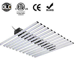 Prix de gros Chine Usine Intérieure Médical Héb Plantes UV IR Spectre Complet 640w 1000w 800w Led élèvent Des Lumières - Product Image 6