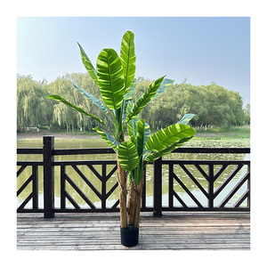 <span class=keywords><strong>Bananier</strong></span> QYYM-526 - Product Image 5