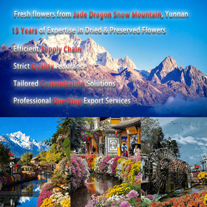 Boccioli di Loto Essiccati di Alta Qualità, <span class=keywords><strong>Fiori</strong></span> Personalizzati dello Stile Zen per Decorazioni Domestiche, Matrimoni e Ghirlande Natalizie in Vari Stili Cinesi - Product Image 5