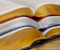 Impression personnalisée de livres : Bible Catholique anglaise KJV avec couverture en cuir à bord doré