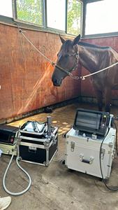 Equipo de Terapia Láser Veterinaria, Láser Veterinario de Clase IV de Múltiples Longitudes de Onda (450nm, 635nm, 810nm, 980nm) para Cirugía Animal y Alivio del Dolor - Product Image 4