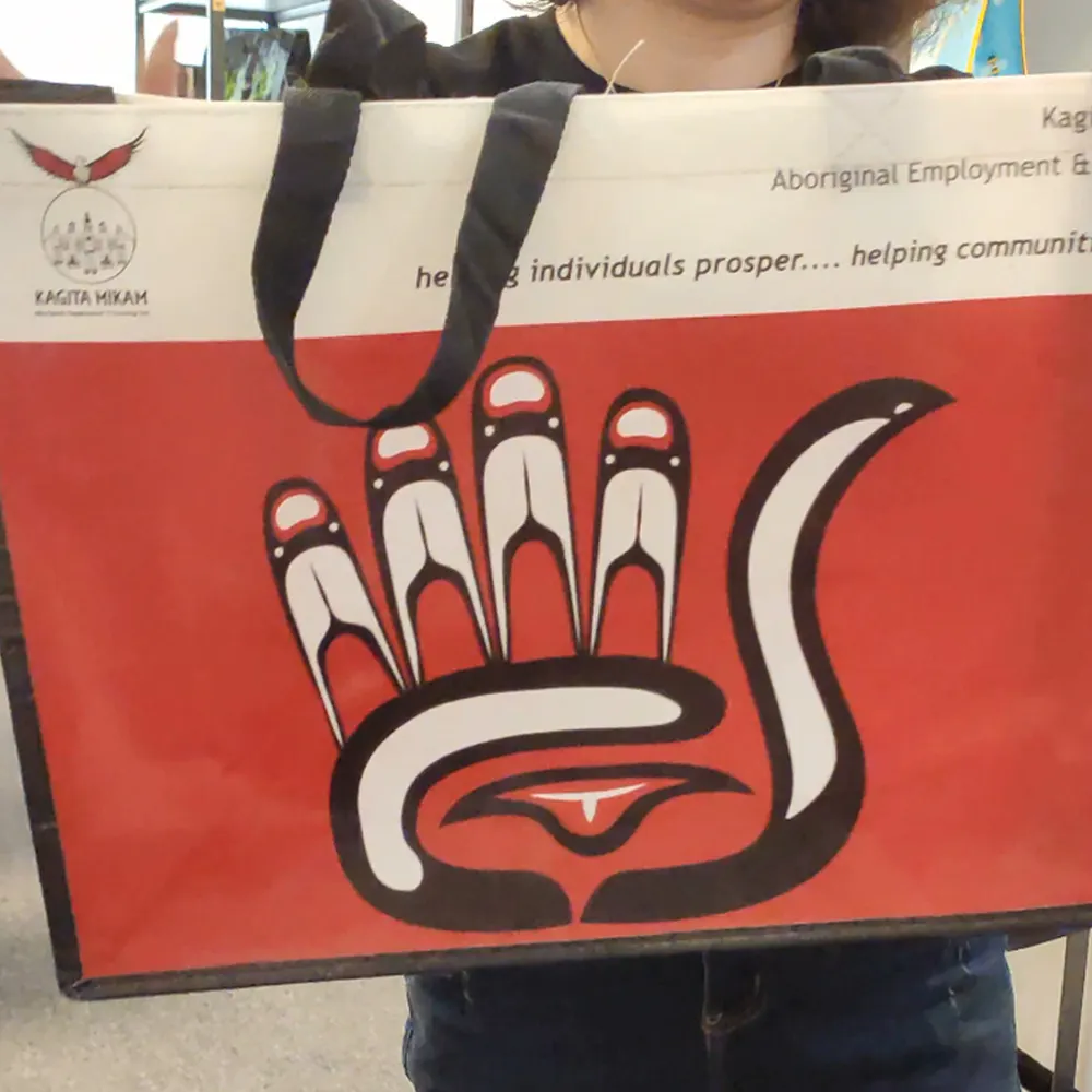 The Bag Highest Quality Fashion Customized Laminated Lovely Large Size Offset Printing Non Woven Bag