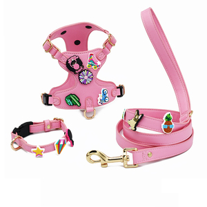 Arnés, Correa, Collar, Anillo para el Cuello y Diadema para Perro con Diseño de Dibujos Animados - Product Image 1