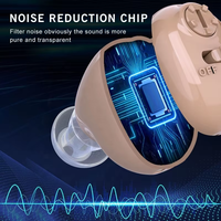 Vente en gros de prothèses auditives Mini Cic Appareil auditif sans fil Ite Prothèses auditives à charge rapide rechargeables pour les personnes âgées sourdes