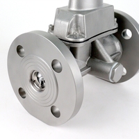 Medidor de Flujo Vortex 4-20mA RS485 IP65 para Gas, Acero Inoxidable, con Brida y Abrazadera