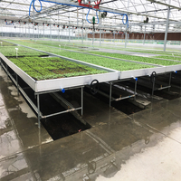 Bancs de culture à flux et reflux pour serres agricoles GT