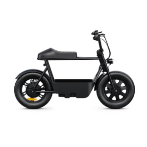 Vélo électrique cargo à pneus larges ODM/OEM Stealth Bomber, 16 pouces, tout-terrain, prix du vélo électrique, moteur 350, vélo électrique de plage - Product Image 1