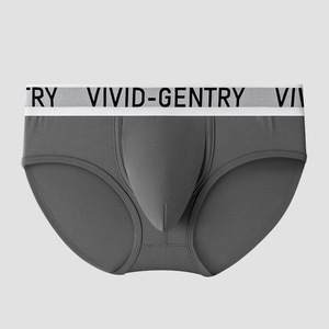 Slip da Uomo in Fibra di Bambù a Vita Bassa, con Ampia Tasca a U, Doppio Strato Traspirante, Sexy, per Giovani, Vendita all'Ingrosso - Product Image 2