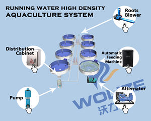 Système d'aquaculture à eau courante haute densité pour sites de pêche, équipement économique - Product Image 2