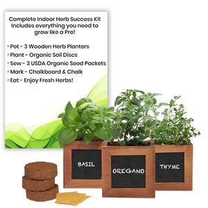 Kit de démarrage d'herbes uniques 2025, <span class=keywords><strong>basilic</strong></span>, origan, thym, pots <span class=keywords><strong>en</strong></span> bois écologiques, jardinage à domicile, ensemble suspendu au sol, fleur artificielle - Product Image 2