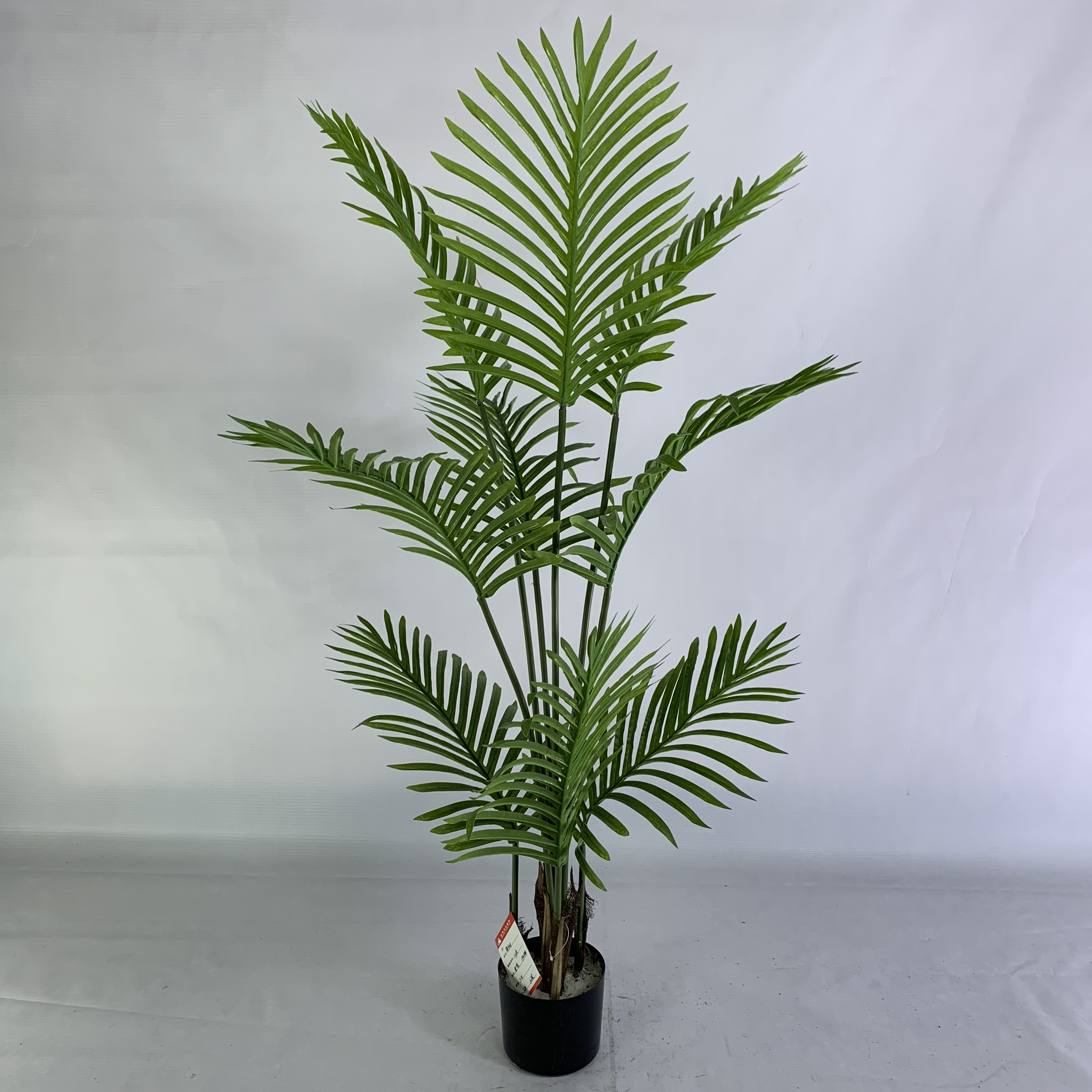 Palmera personalizada