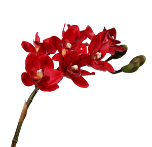 Fleur d'<span class=keywords><strong>orchidée</strong></span> <span class=keywords><strong>Cymbidium</strong></span> artificielle à 8 têtes, fleur à toucher réel, fleur décorative pour mariage - Product Image 2