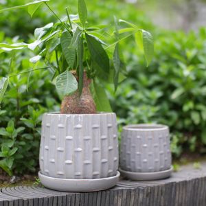 Pots de plantes en céramique avec soucoupe, 6 à 8 pouces, gris glacé, texture bambou, utilisation intérieure et extérieure - Product Image 3
