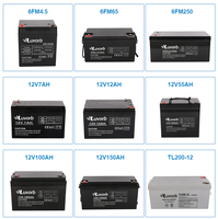 Batterie au plomb à décharge profonde Luvorb 12V 17Ah scellée AGM 10Hr pour outils électriques et jouets, prix usine, batterie GEL AGM 10Hr UPS