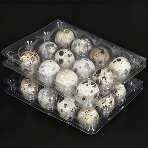 Прозрачный пластиковый лоток для яиц - Product Image 6