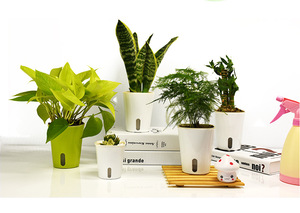 Hydroponic Plant Pot Self Watering <b>Planter</b> Flower - Product Image 2