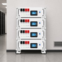 Batterie LiFePO4 DUBAK NEW ENERGY 51.2V 314Ah 16.07KWh, système de stockage d'énergie pour rack de serveur, écran tactile, application, décharge, certifié CE