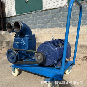 Pompe à eaux usées électrique auto-amorçante 50-100 L/min bleue pour la gestion des eaux usées agricoles - Product Image 2