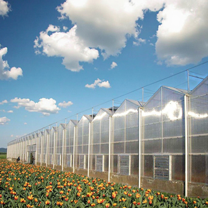Système hydroponique commercial pour légumes-feuilles, grande serre multi-voûtes <span class=keywords><strong>en</strong></span> polycarbonate, jardin de style chinois - Product Image 1