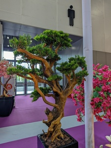 Árbol <span class=keywords><strong>de</strong></span> Pino Artificial <span class=keywords><strong>de</strong></span> Bienvenida <span class=keywords><strong>de</strong></span> 2.1m con Maceta, Tronco <span class=keywords><strong>de</strong></span> Madera Real, Bonsái <span class=keywords><strong>de</strong></span> <span class=keywords><strong>Cedro</strong></span> Artificial para Decoración <span class=keywords><strong>de</strong></span> Vestíbulos <span class=keywords><strong>de</strong></span> Hoteles y Paisajes Comerciales - Product Image 1