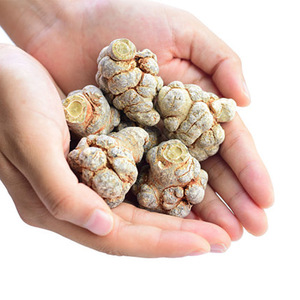 Bột Sanqi thảo dược tự nhiên nguyên chất, chất lượng cao, rễ Panax <span class=keywords><strong>Notoginseng</strong></span> khô - Product Image 3