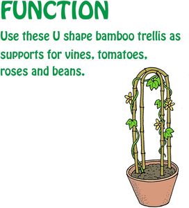 Mini treillis en bambou pour plantes en <span class=keywords><strong>pot</strong></span>, support vertical pour plantes grimpantes, pour les légumes et les fleurs du matin, écologique, résistant à l'eau, 33x60cm, 24 - Product Image 4