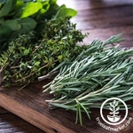 A Kits Herb Garden Kit qui profite du plaisir du jardinage d'intérieur et cultive vos propres herbes de cuisine fraîches à l'intérieur - Product Image 6