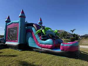 Großhandel Commercial Pvc Bouncy Bounce House Bluey aufblasbare Türsteher Combo White Jumping Castle mit Rutsche für Kinder - Product Image 5