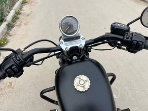 Moto rétro de croisière à double moteur à essence Harley-Davidson 883V 883cc <span class=keywords><strong>d</strong></span>'<span class=keywords><strong>occasion</strong></span> - Product Image 6