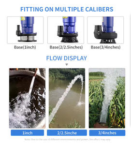 ปั๊มน้ำบาดาลแบบจุ่มใต้น้ำสแตนเลสประสิทธิภาพสูงสำหรับน้ำเสีย การเจาะ แบบกังหันแนวตั้ง ราคาตามที่กำหนด แรงดันตามที่กำหนด - Product Image 3