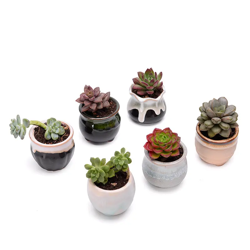 Retro Mini Kleine Succulente Planter Geglazuurd Plant Pot Keramische Bloempotten Groothandel