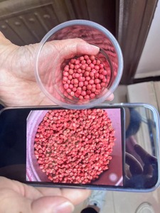 Polímeros de recubrimiento de semillas al por mayor, colorante dorado, colorante de semillas de maíz para semillas agrícolas vegetales híbridas - Product Image 6