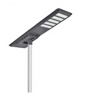 Lampadaires solaires LED IP65 avec garantie de 2 ans et contrôle de la lumière pour poteaux électriques ruraux, restent allumés toute la nuit