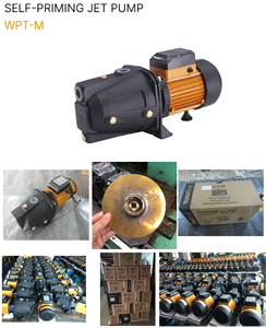 WATERPRO Hiệu Suất Chi Phí Cao 0.75KW 220V Brass Cánh Quạt Tự Mồi Máy Bơm Nước Máy Bay Phản Lực 1HP - Product Image 2