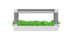 Boîte de jardin intérieur intelligente contrôlée par APP système hydroponique maison cuisine herbe LED culture sans sol pompe d'<span class=keywords><strong>arrosage</strong></span> <span class=keywords><strong>automatique</strong></span> - Product Image 5