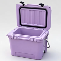 Glacière rotomoulée 20QT avec logo personnalisé, glacière en LLDPE avec paroi épaisse en PU et protection UV pour le camping