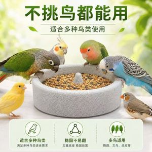 Comedero de piedra pómez para loros, antideslizante, para moler el pico y las uñas, para periquitos, cacatúas y loros pequeños - Product Image 4