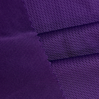Usine En Gros Écologique Antistatique RPET GRS 100% Polyester Recyclé Faible Stretch Bird Eye Mesh Doublure Tissu