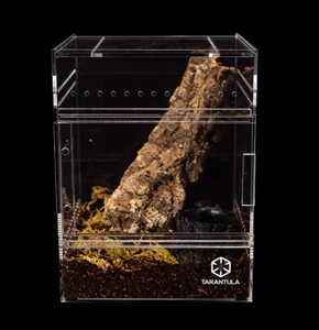 Limpar <span class=keywords><strong>Custom</strong></span> Medium Treehouse Acrílico Enclosure - Product Image 3