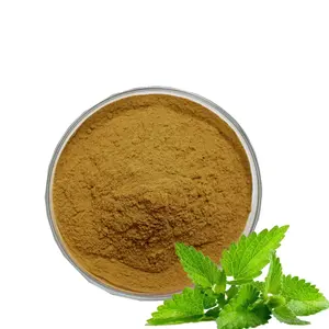 High Quality 4:1 Melissa Officinalis Extract Powder