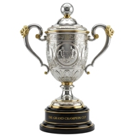 Medallas de Trofeo de Dragón Portátiles de 40 cm, Personalizadas, de Alta Calidad, en Cobre y Aluminio, Grabadas y Bañadas en Oro/Plata/Bronce, con Logotipo Personalizado