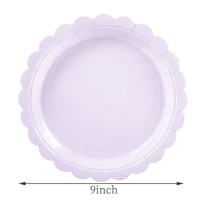 10 assiettes de 9 pouces