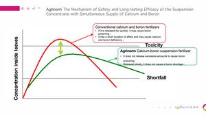 有機カルシウム-ホウ素相乗肥料: 細胞壁を強化し、果物の品質と肥沃度を高める - Product Image 5